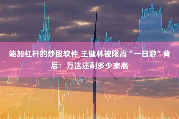 能加杠杆的炒股软件 王健林被限高“一日游”背后:万达还剩多少家底